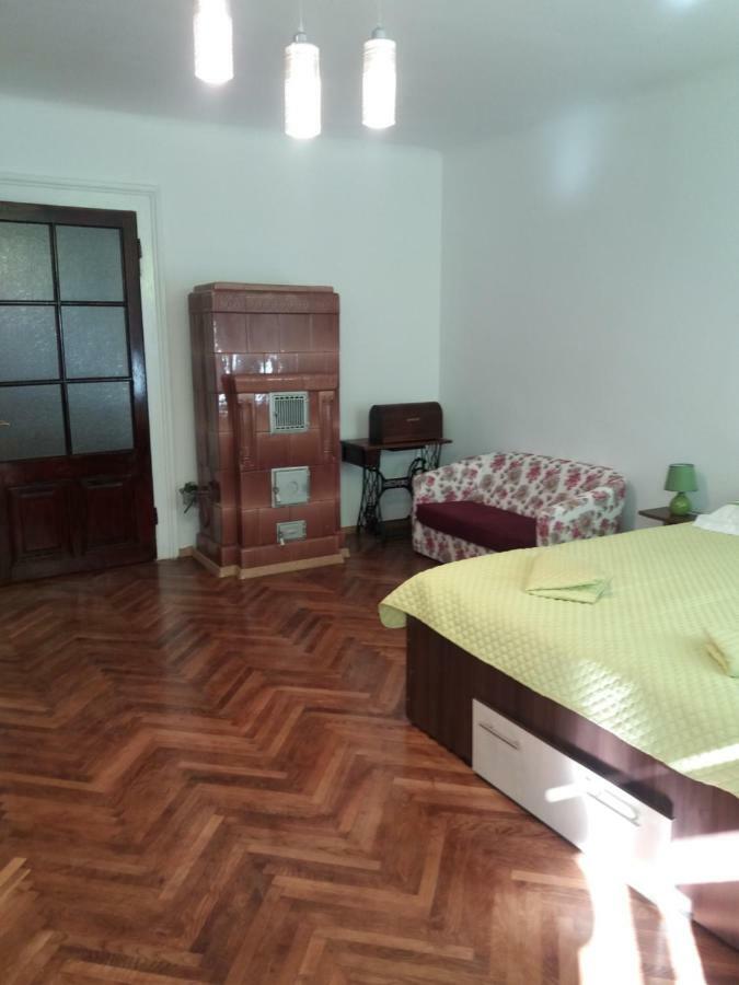 Charming Downtown Studio 布拉索夫 外观 照片