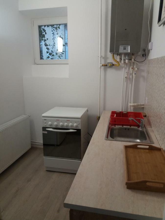 Charming Downtown Studio 布拉索夫 外观 照片